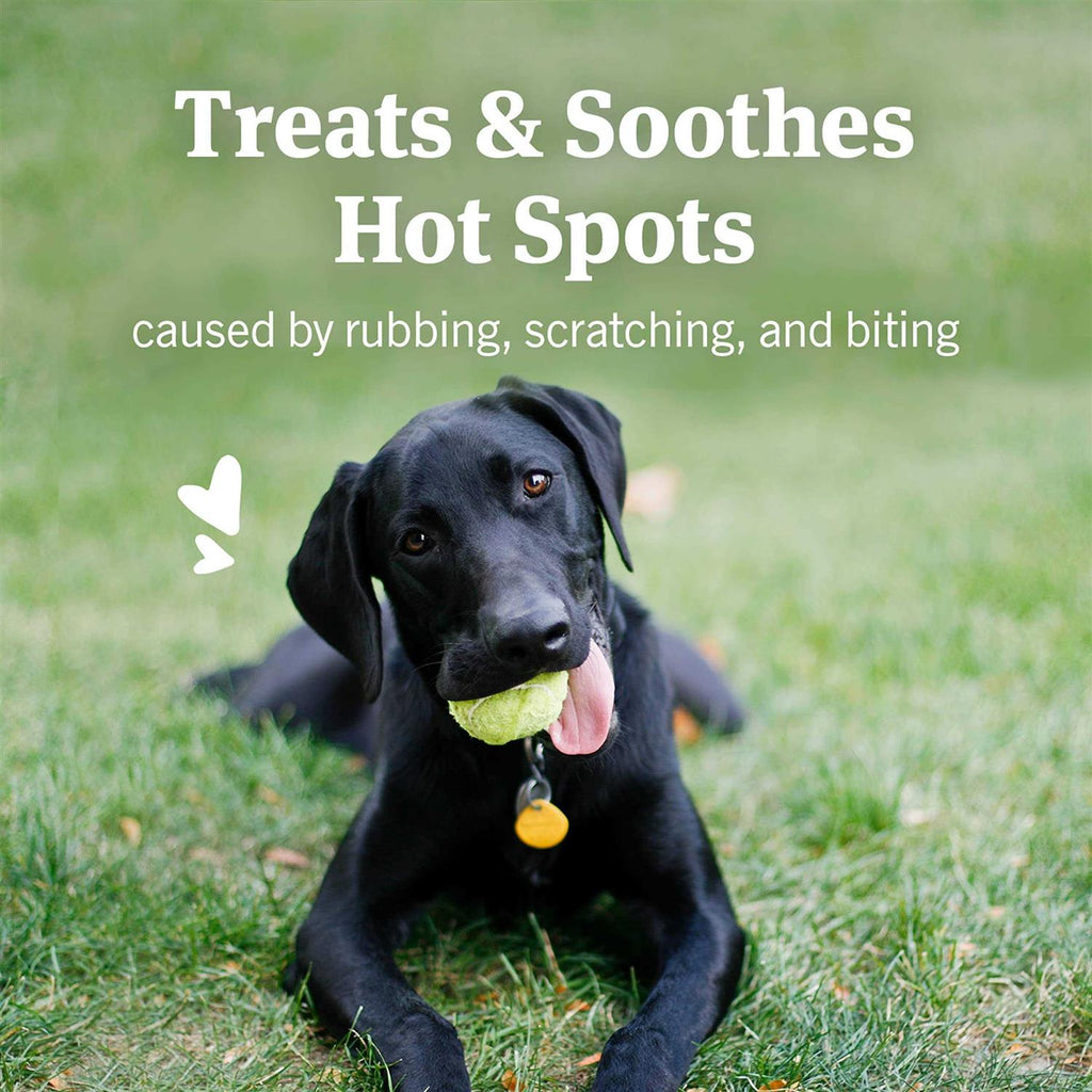 Hot Spot Skin Remedy for Dogs V551934