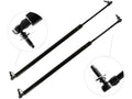 Rear Liftgate Lift Support Set G52542