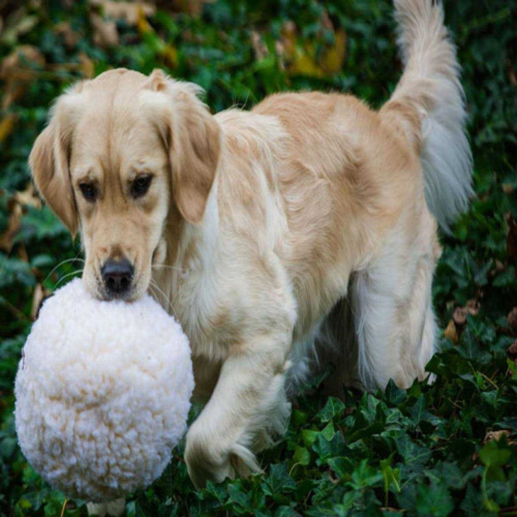 HuggleFleece Ball Dog Toy X68721