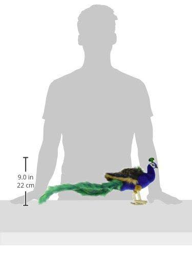 Peacock Plush Animal Toy M809256