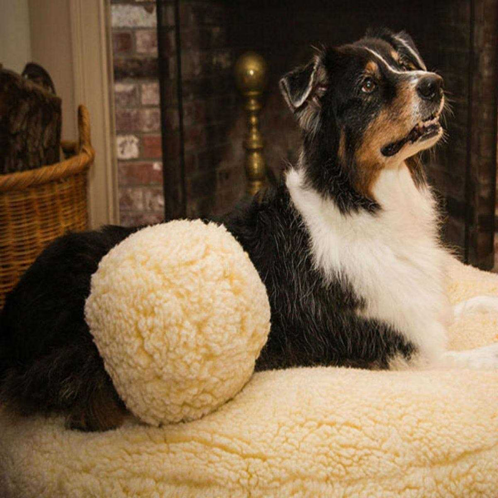 HuggleFleece Ball Dog Toy X68721