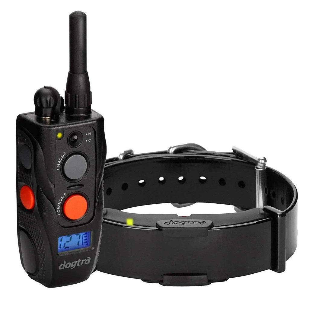 Remote Training Collar L1812