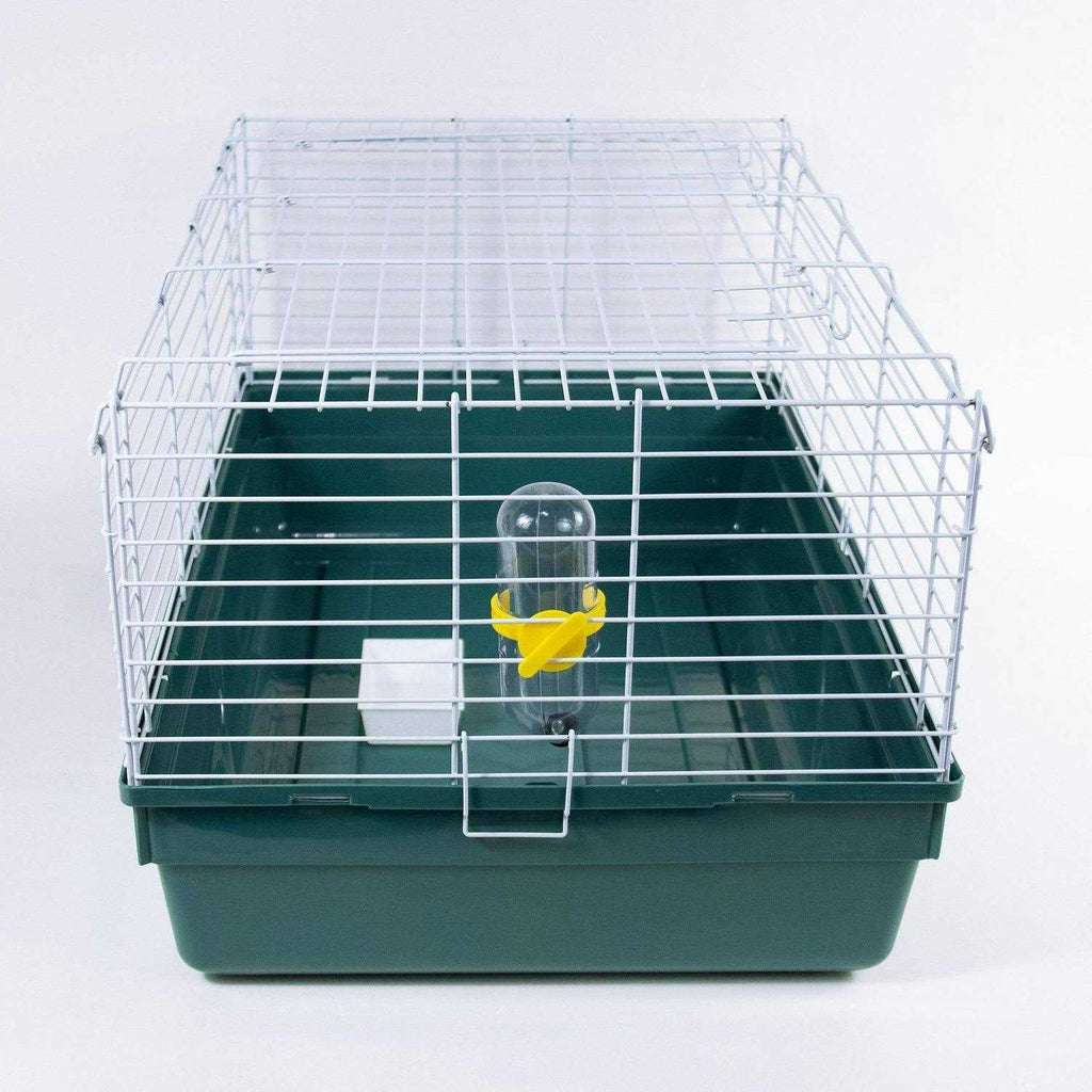 Small Animal Starter Kit I971