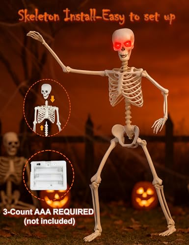 Life Size Skeleton with Glowing Eyes Movable Joints D223527