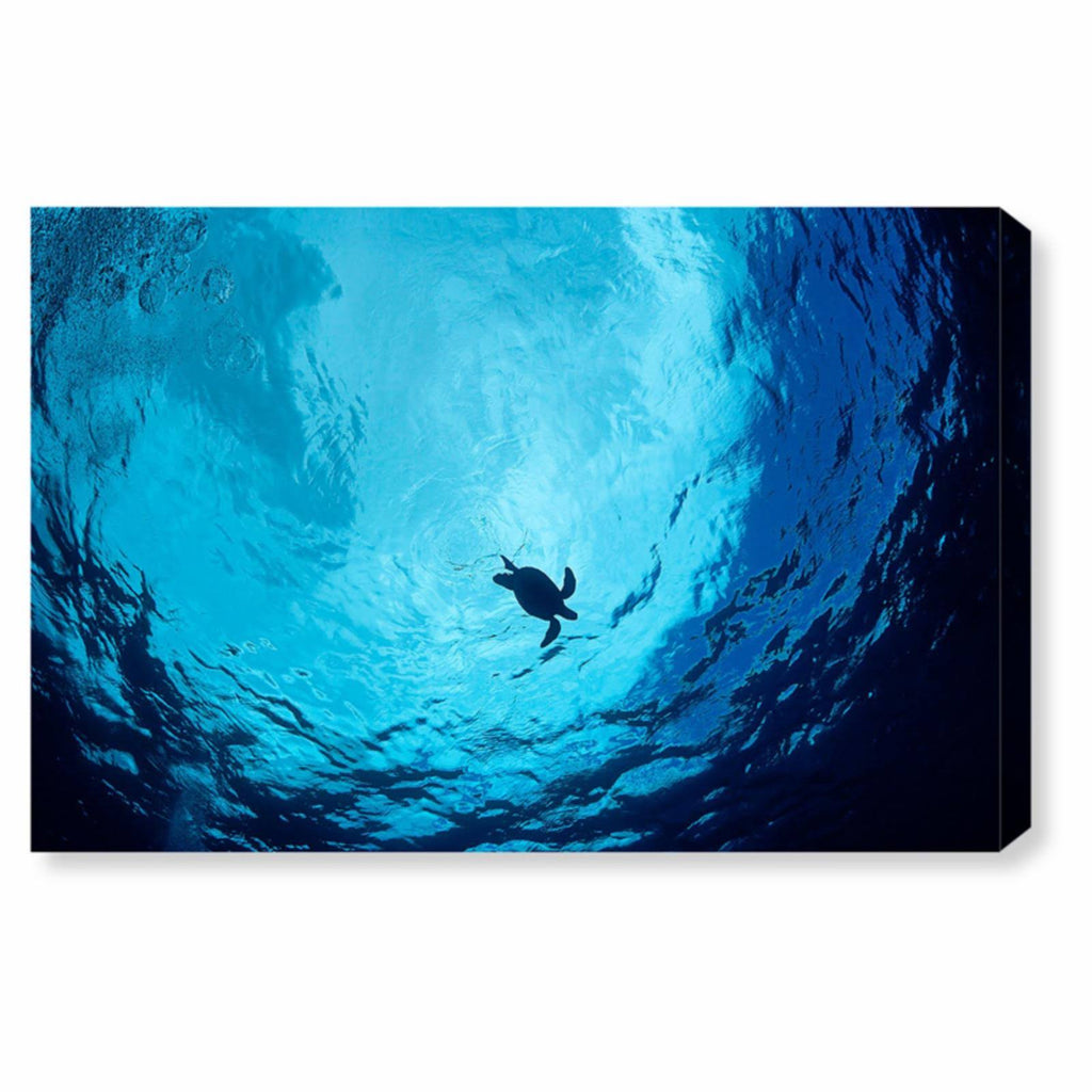 Blue Green Sea Turtle Canvas Art Y69385