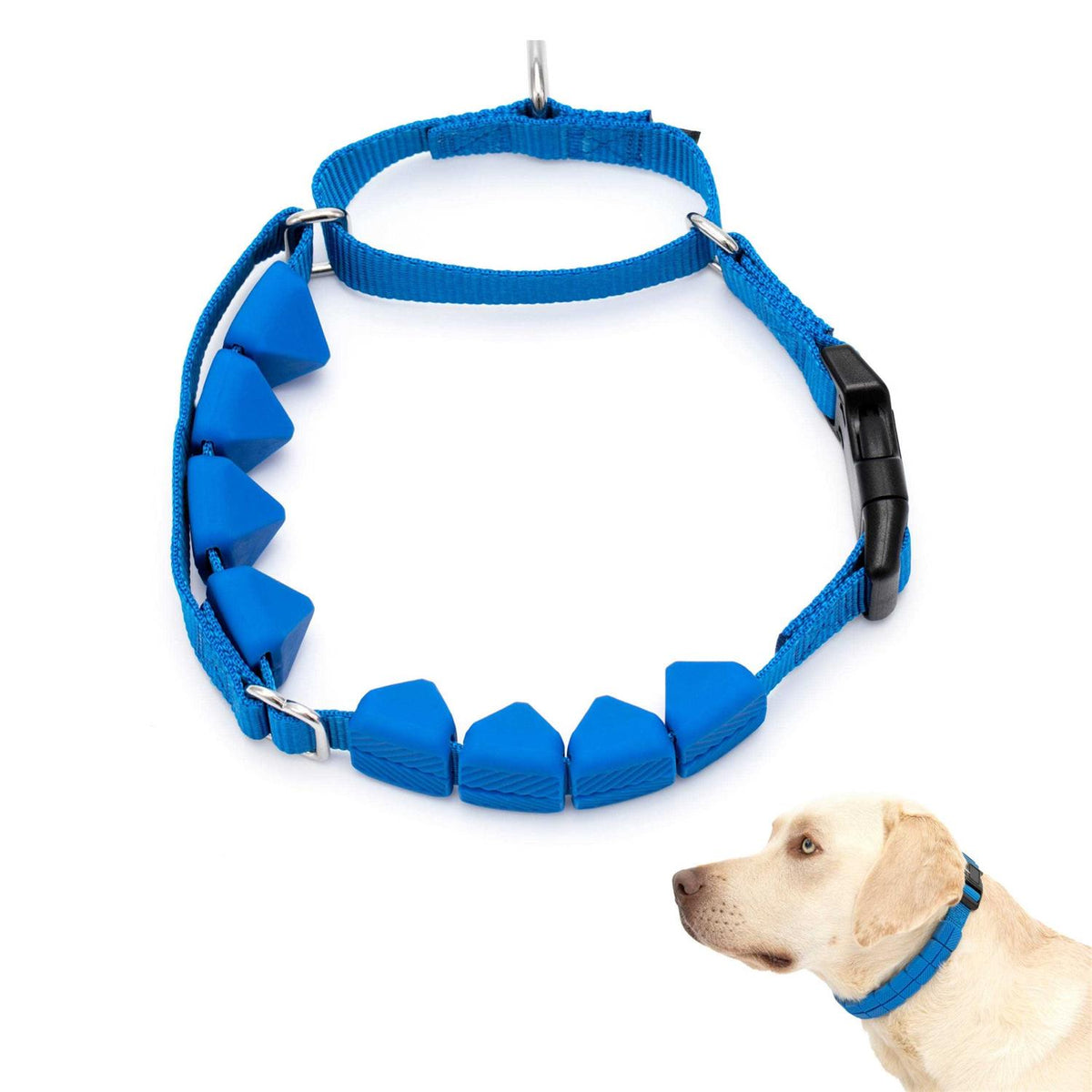 Soft Point Training Collar W24276