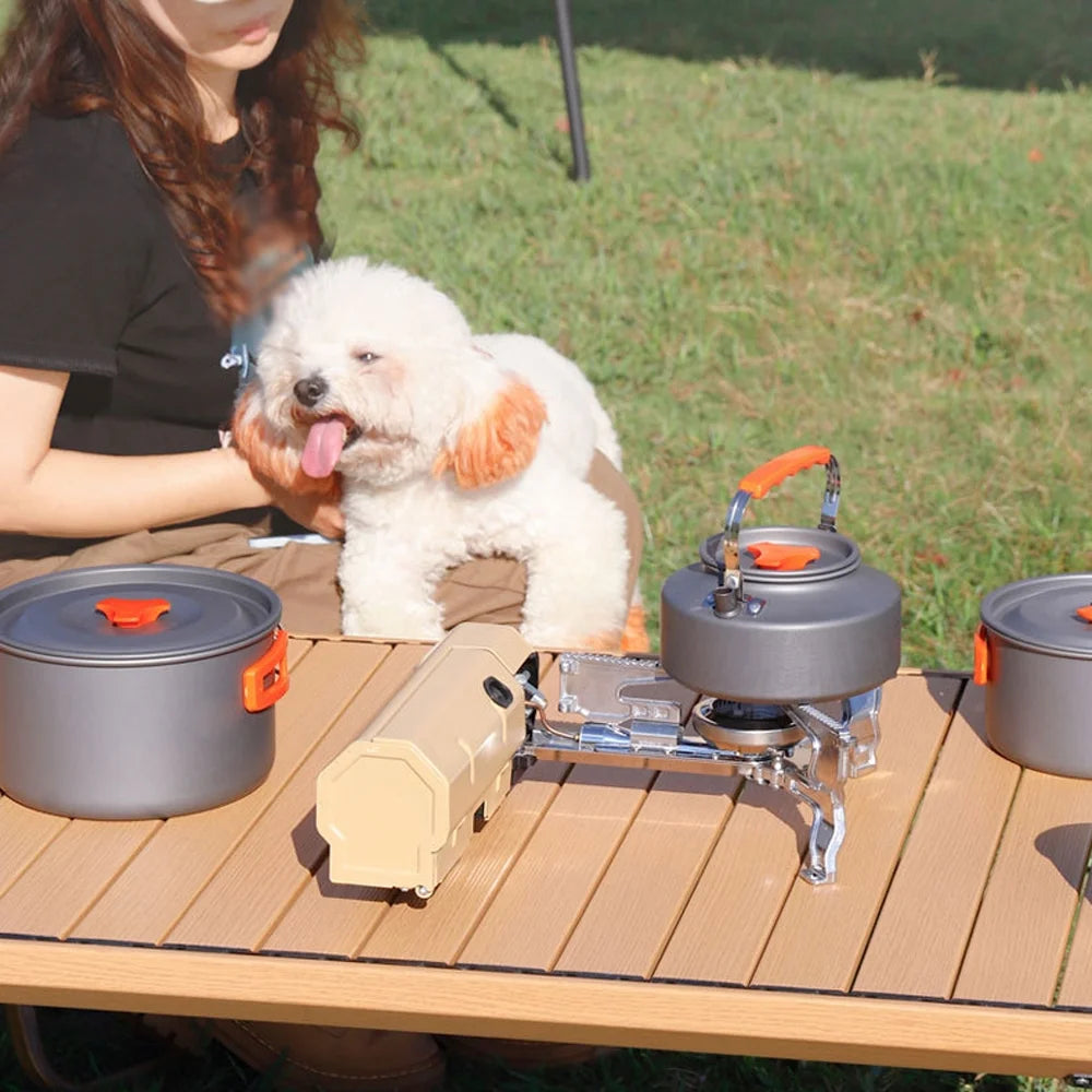 Portable Folding Butane Camping Stove 2600W with Electronic Ignition Carrying Bag Y999