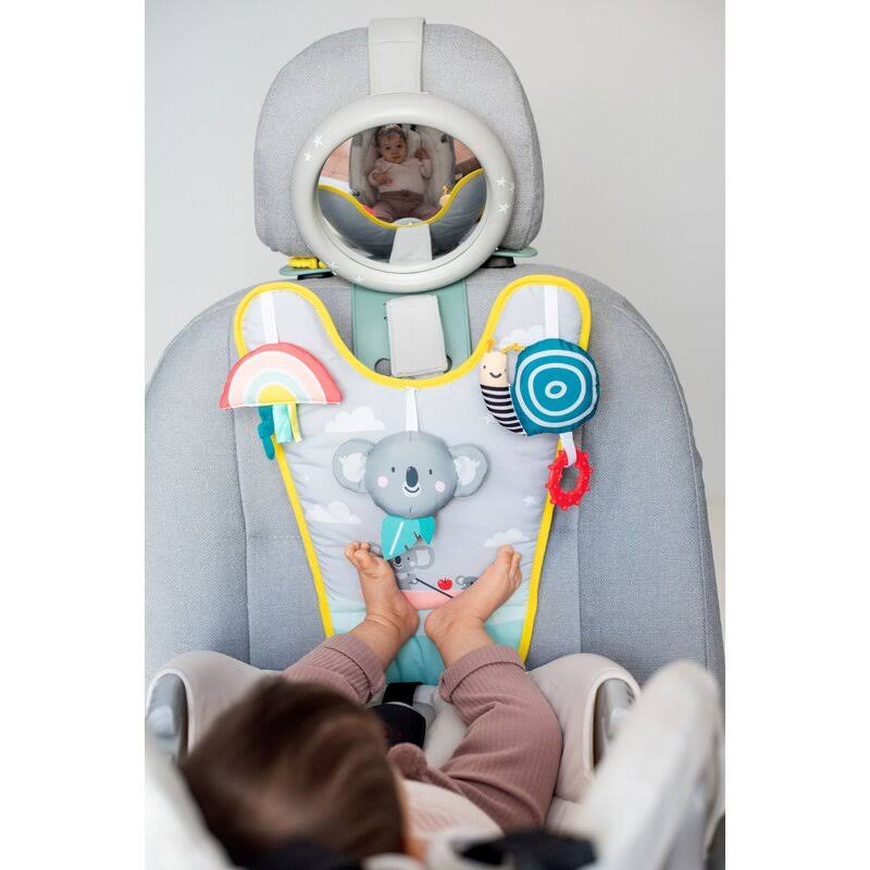 Koala in Car Play Center D4966
