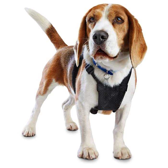 Black No Pull Dog Harness X587