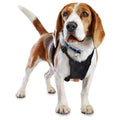 Black No Pull Dog Harness X587