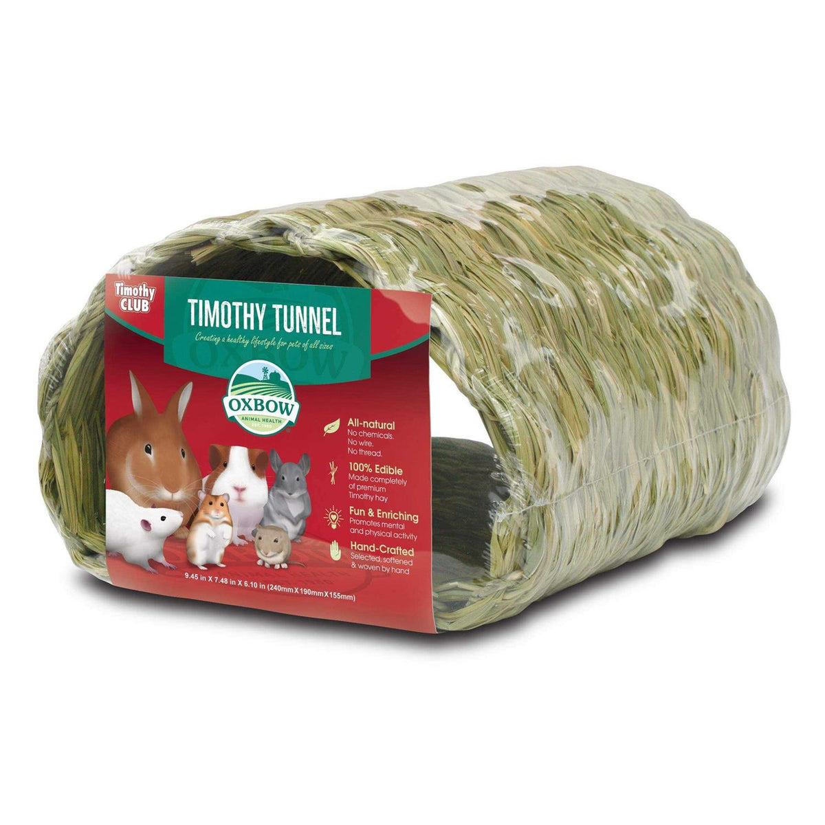 Timothy Club Tunnel P4383