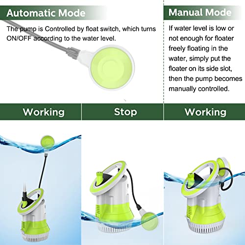 Utility Pump Z5153