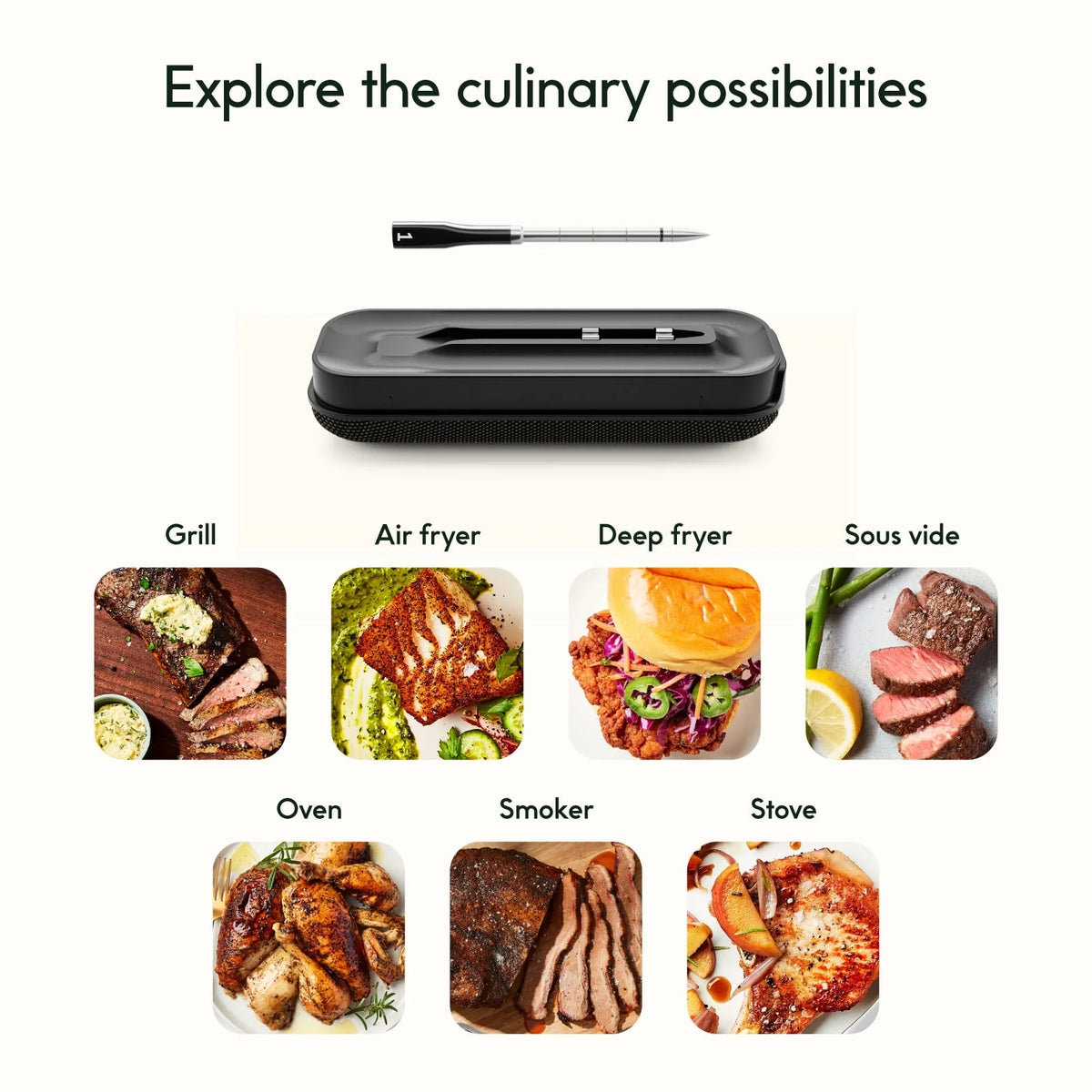 Wireless Meat Thermometer with Smart Hub Y4494