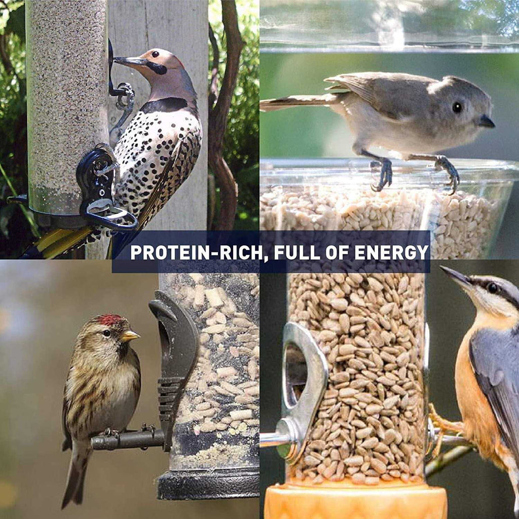 Sunflower Kernels Wild Bird Food 50 lb Z690479