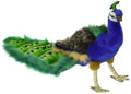 Peacock Plush Animal Toy M809256