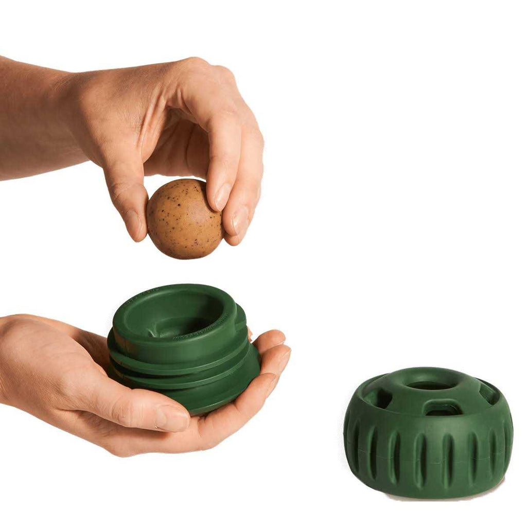 Dog Toy A401077