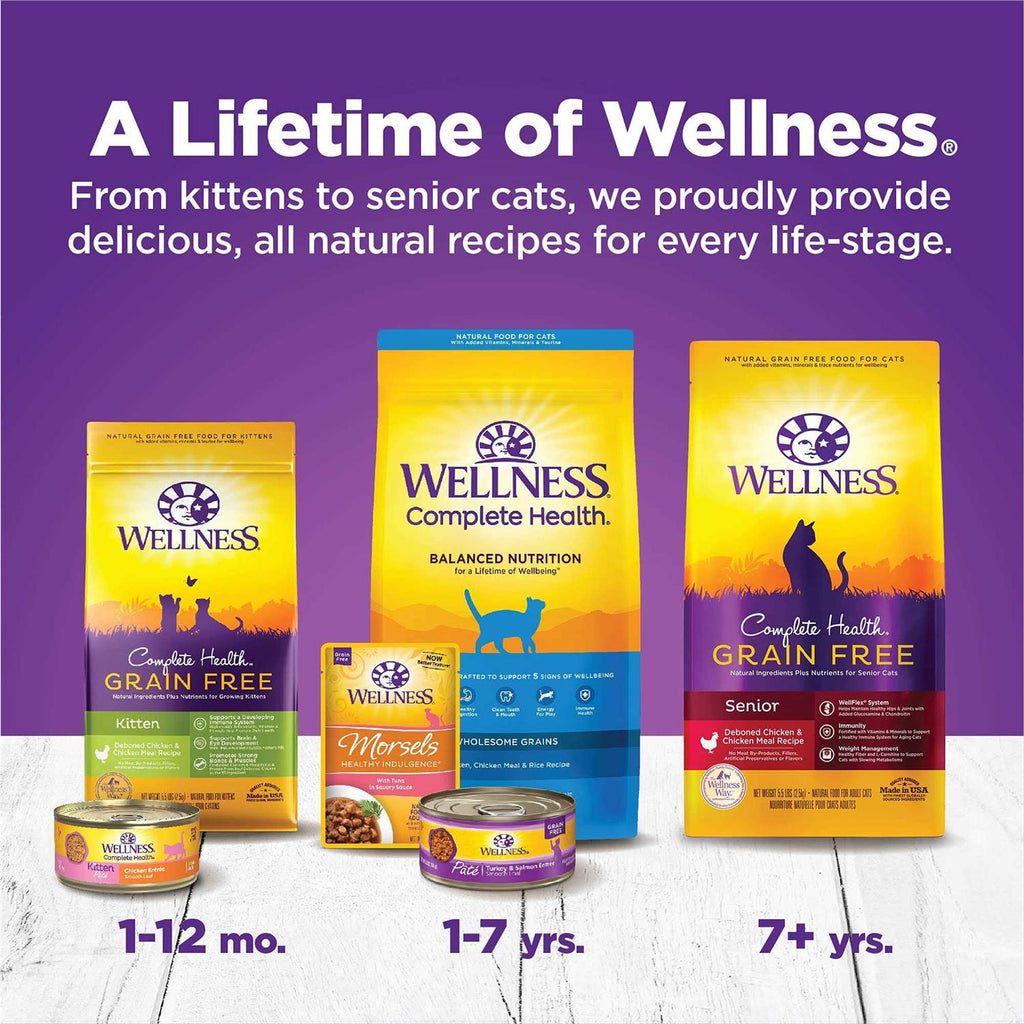 Kitten Canned Wet Cat Food R186