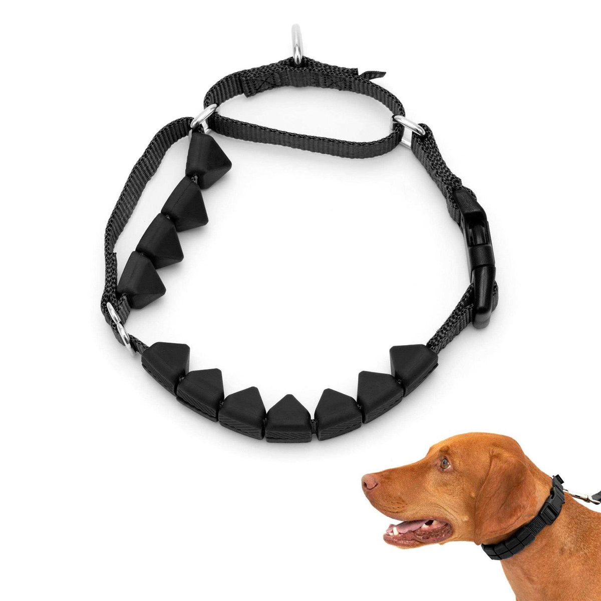 Soft Point Training Collar W24276