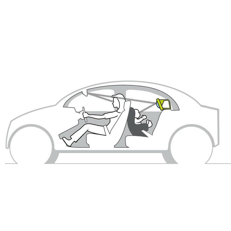 Koala in Car Play Center D4966
