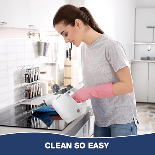 Handheld Steam Cleaner with 16 PCS Accessory & Safety Lock, 500ML White T168